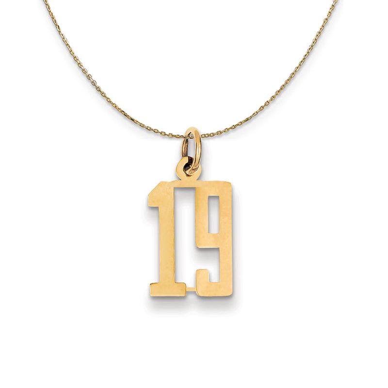 14k Yellow Gold Alumni Small Elongated Number 19 Necklace - 18 Inch 682$